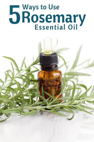 Top 5 Ways to Use Rosemary Essential Oil