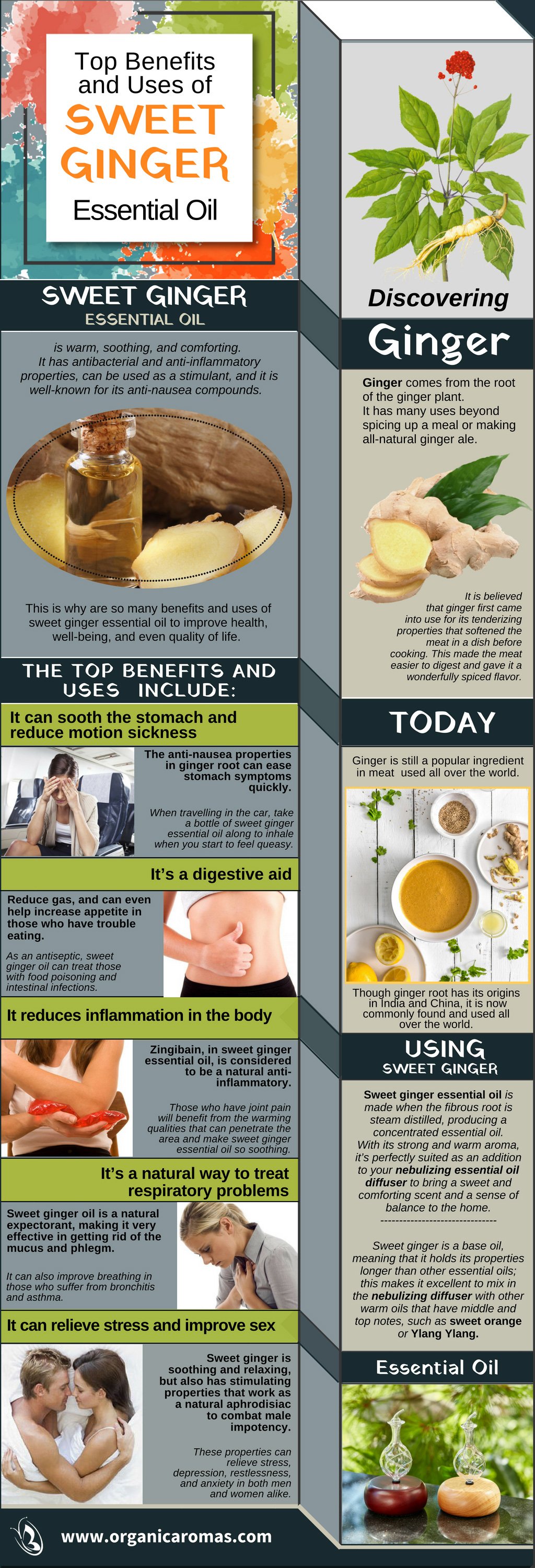 How To Use Ginger Essential Oil Grooming Wise How To Use Ginger Essential Oil Grooming Wise