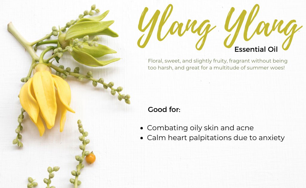 Ylang-Ylang Essential Oil