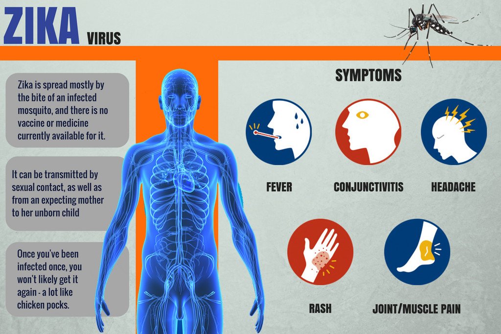 Zika Virus and Essential Oils Info-graphic