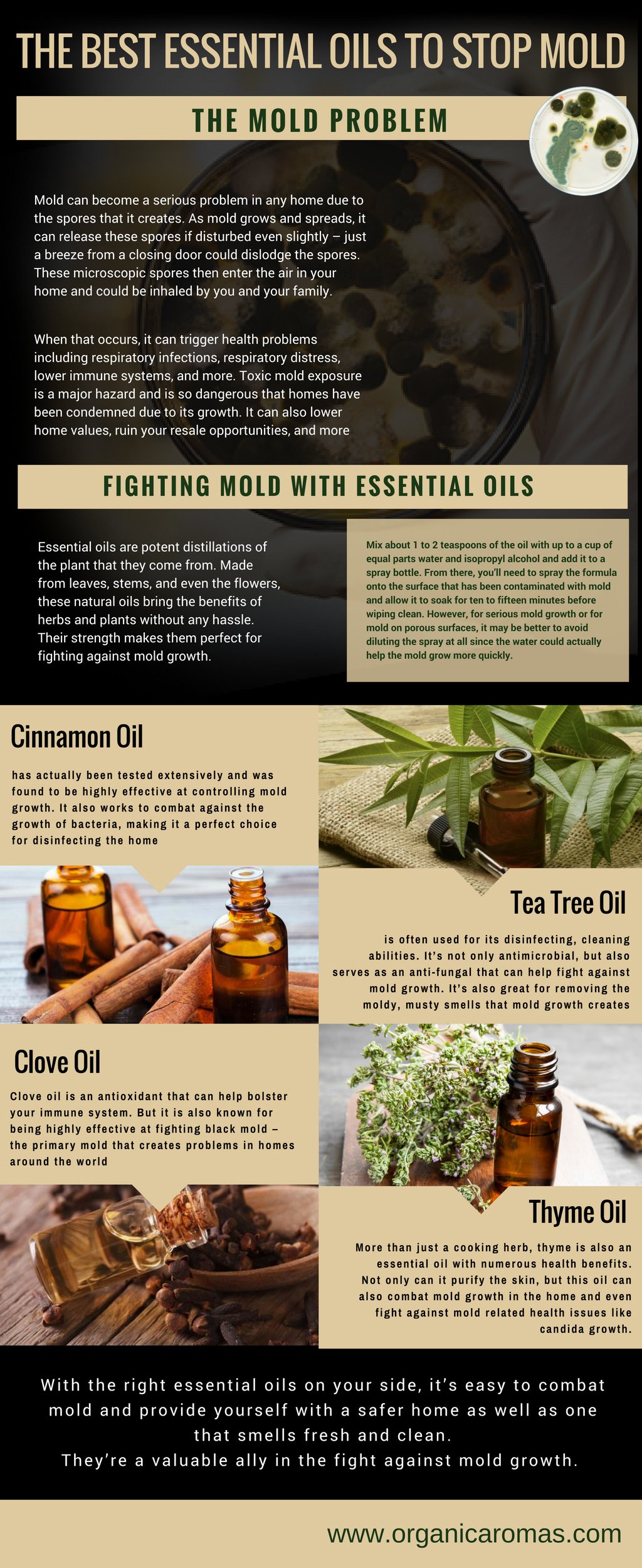 Best Natural Essential Oils & More